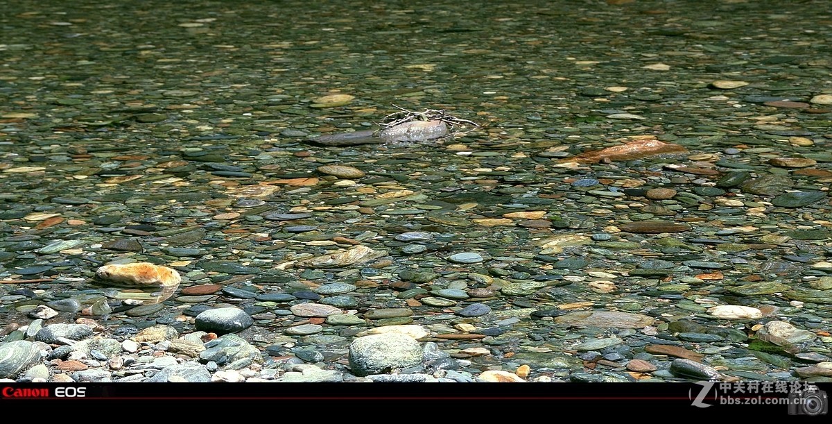 “唐家河”国家自然保护区风景
