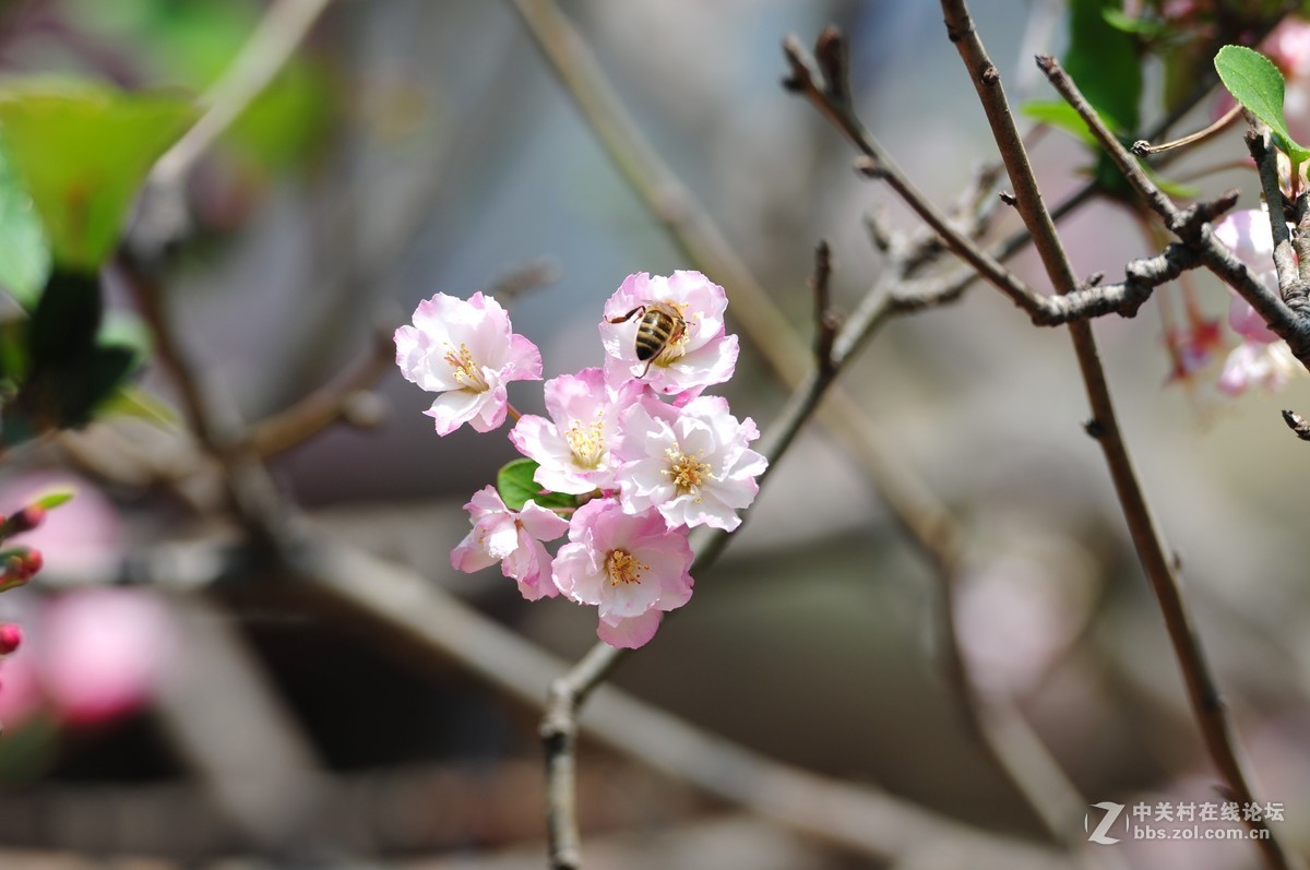 试拍海裳 原片直出