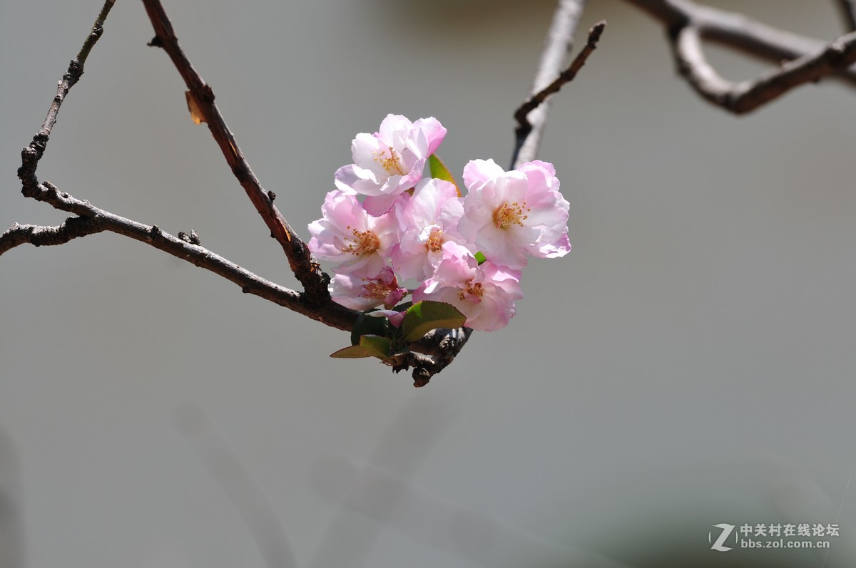 试拍海裳 原片直出