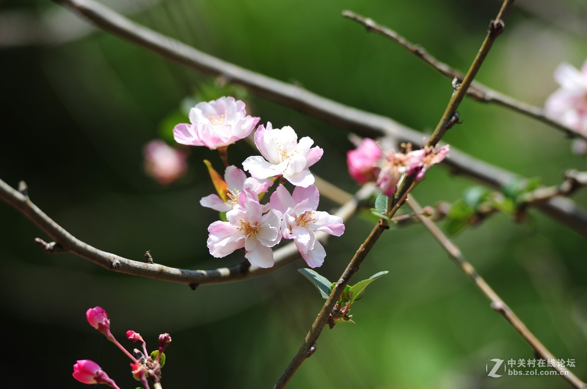 试拍海裳 原片直出