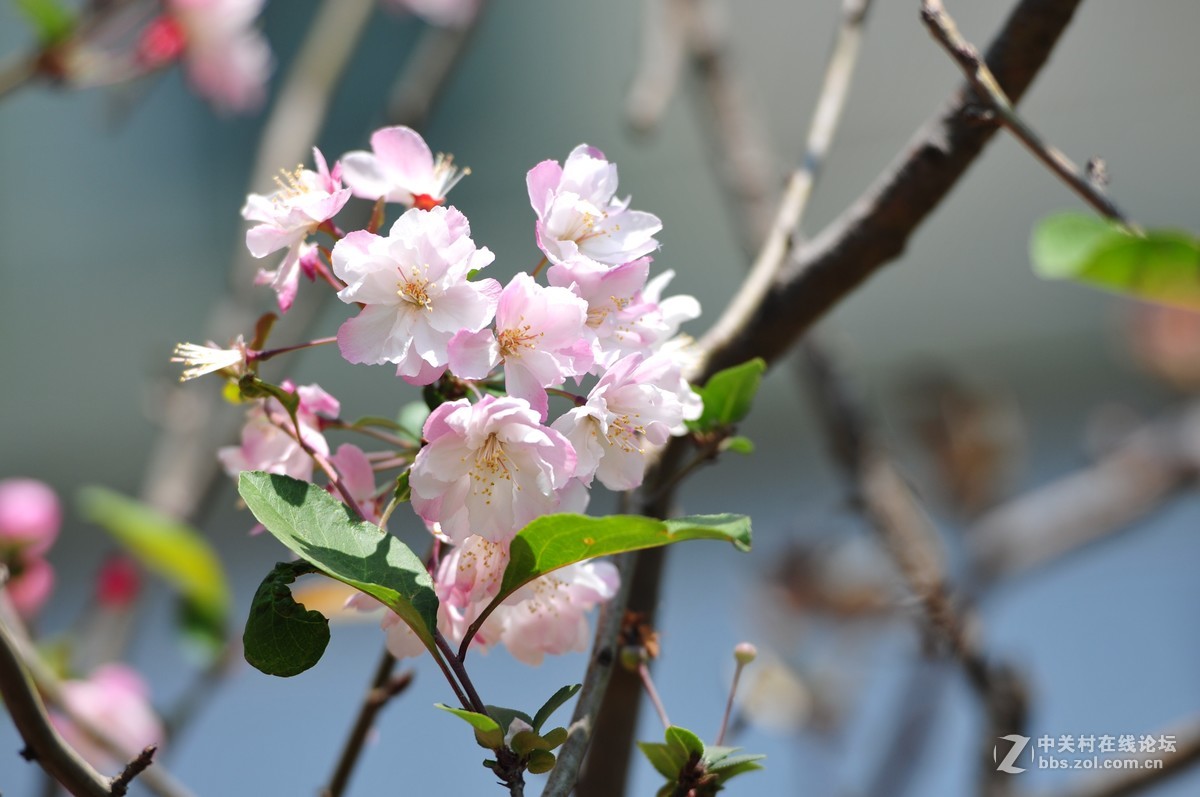 试拍海裳 原片直出