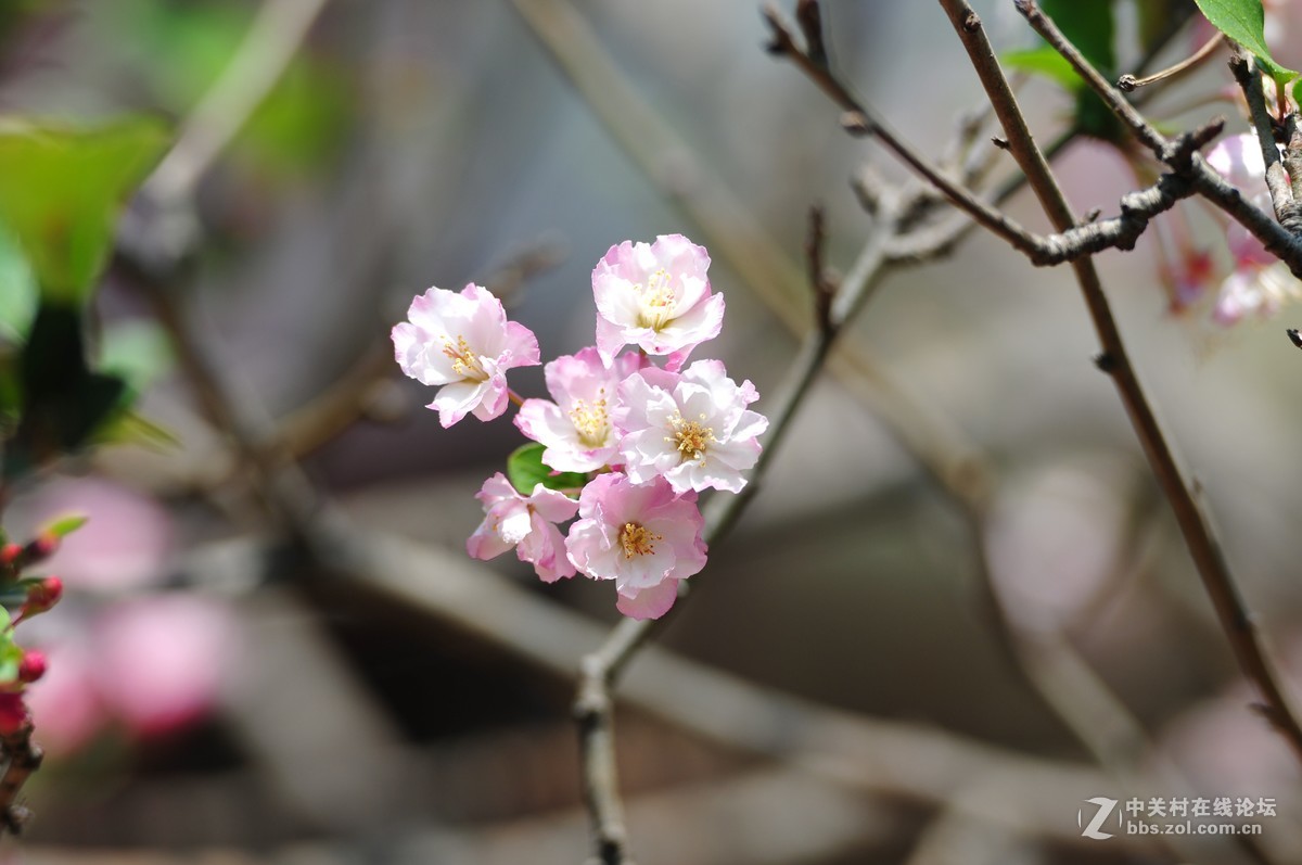 试拍海裳 原片直出