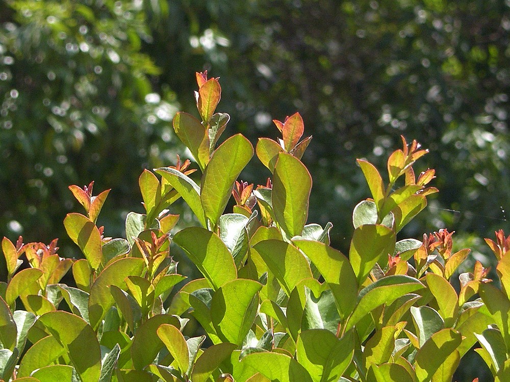 星空体育平台PRO815试机照一组