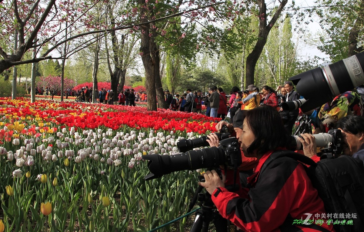北京植物园鲜花盛开游客满园