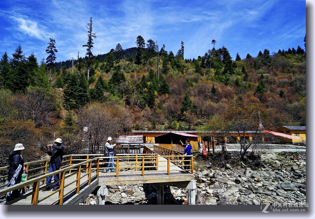 西藏林芝南伊沟风景