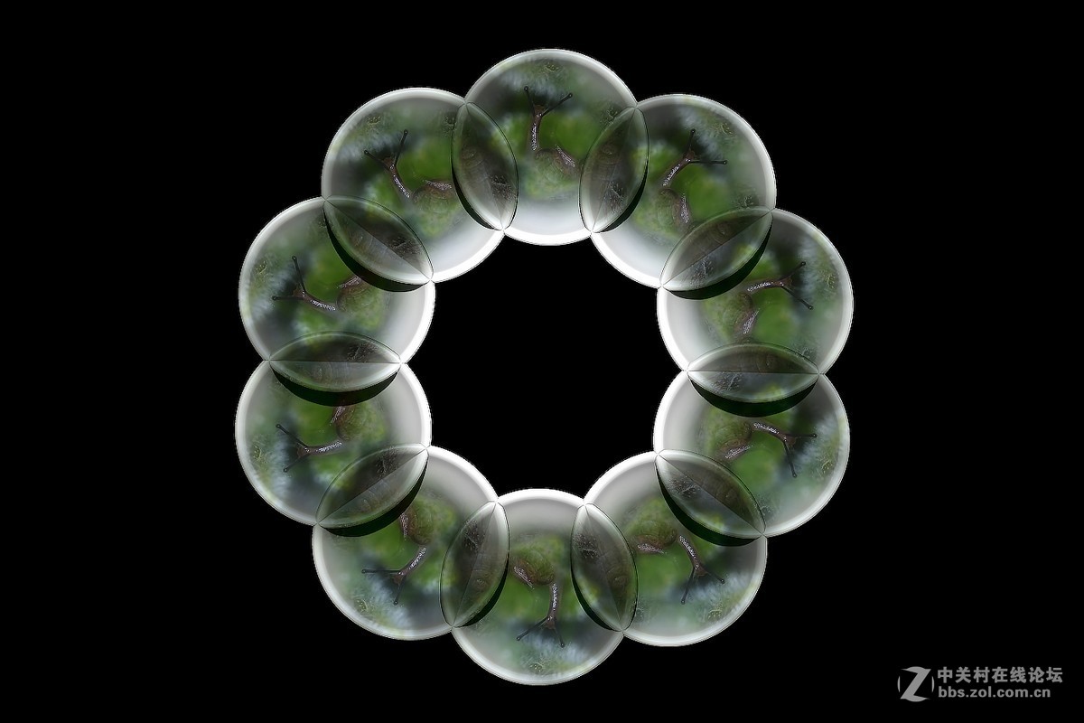 两片微距的后期