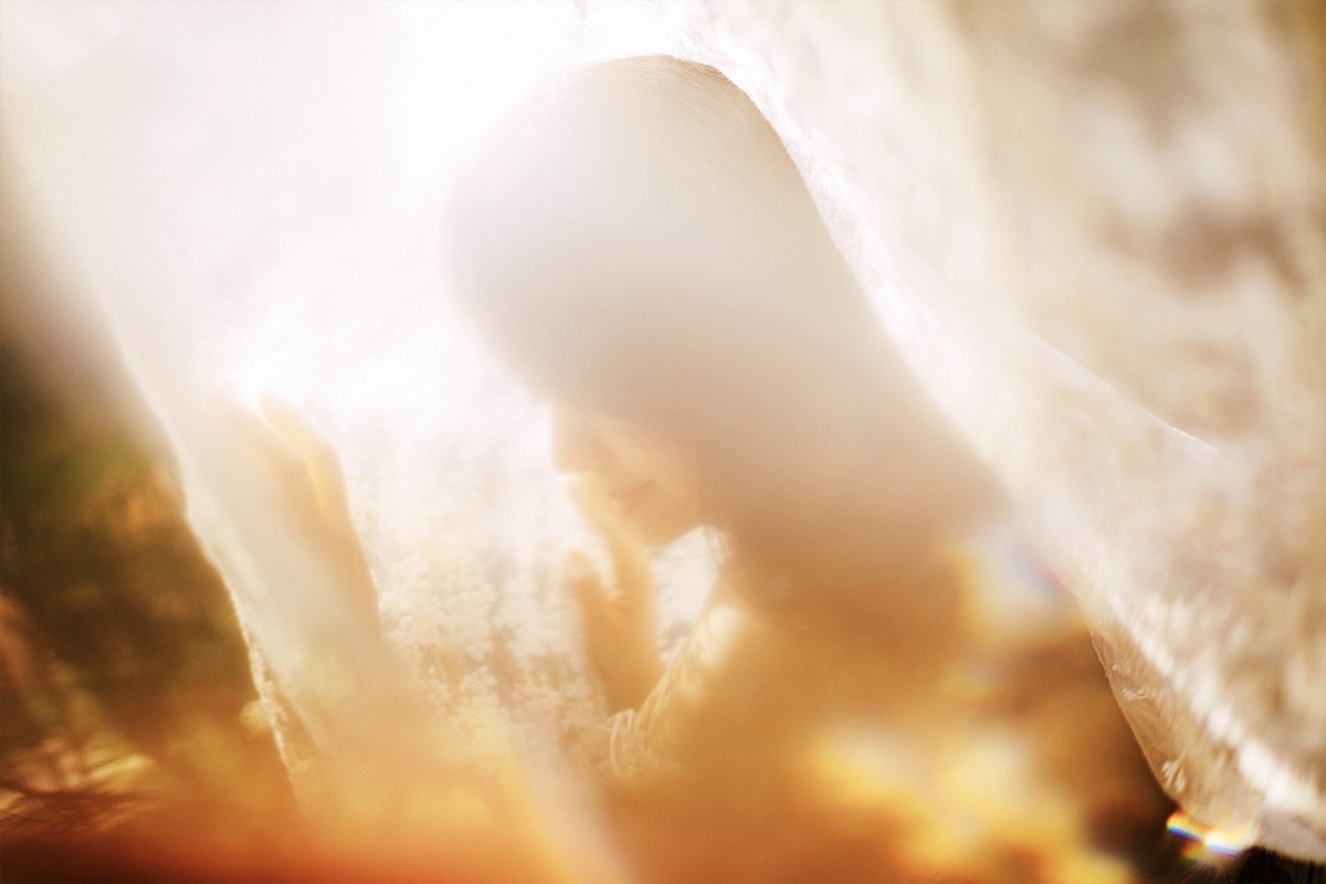 [[[ 楚 狂 ]]] The She..