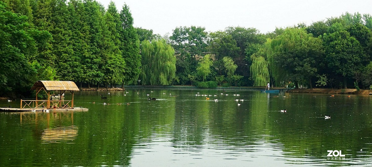 旅游--扬州动物园随拍《7》