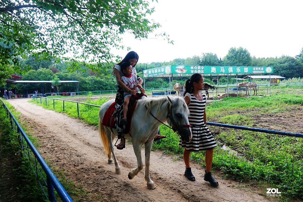 旅游--扬州动物园随拍《7》