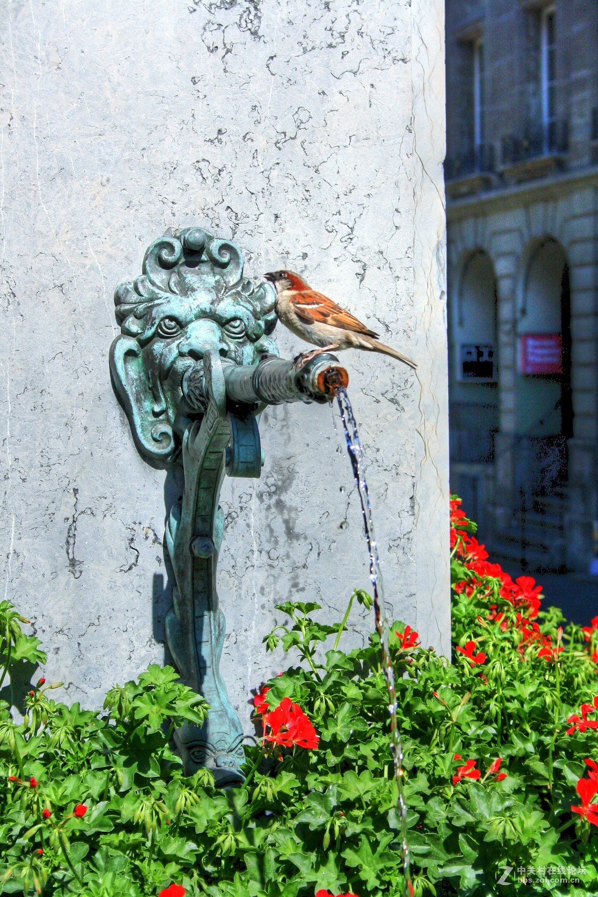 瑞士伯尔尼，资本 Schweiz. Bern