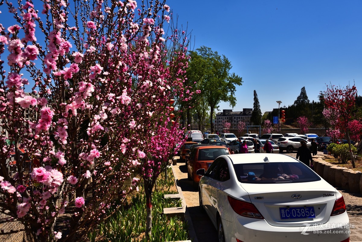 陽泉桃林溝四桃林溝景區被譽為陽泉市休閒的後花園總面積約186平方