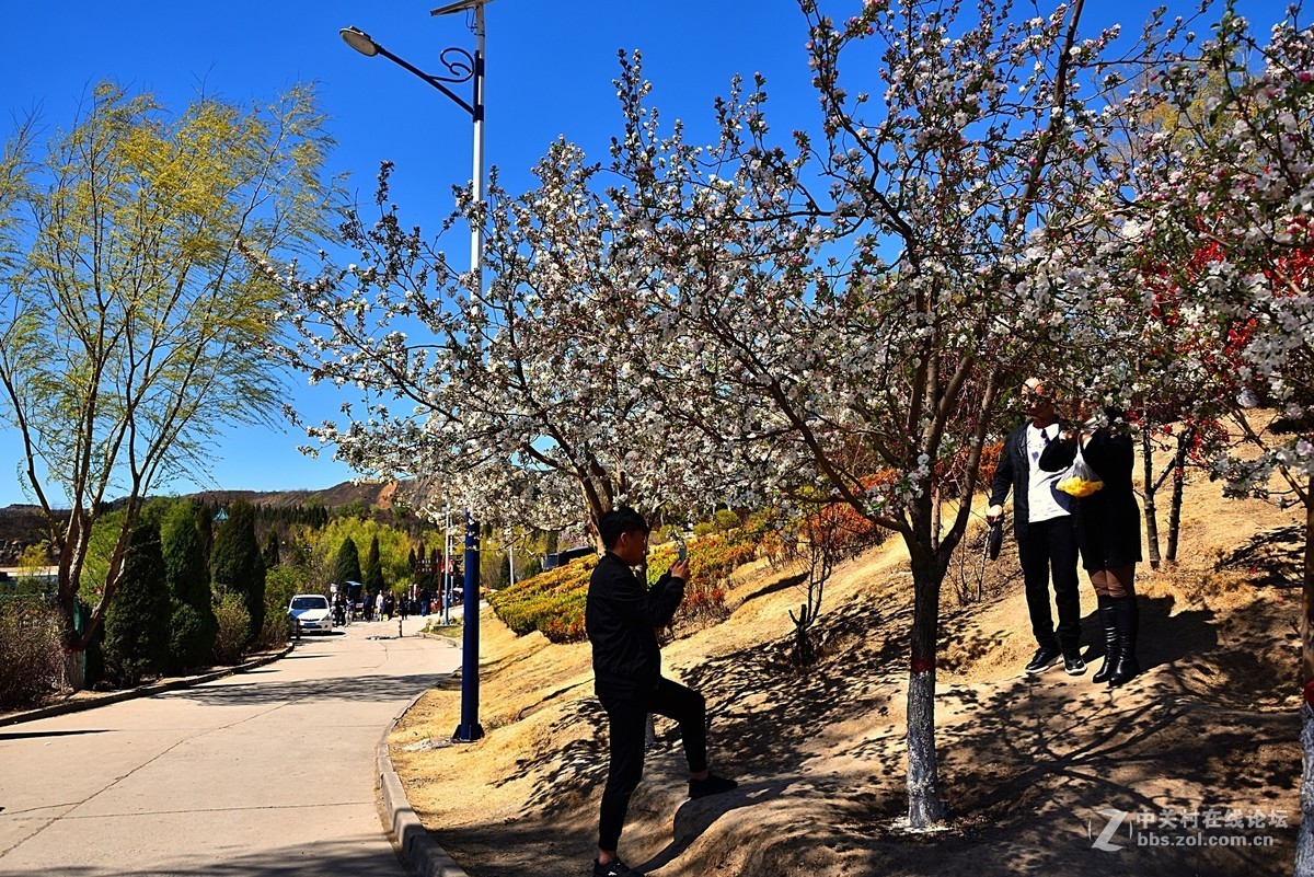 阳泉桃林沟（四）桃林沟景区被誉为阳泉市休闲的后花园，总面积约1.86平方公里
