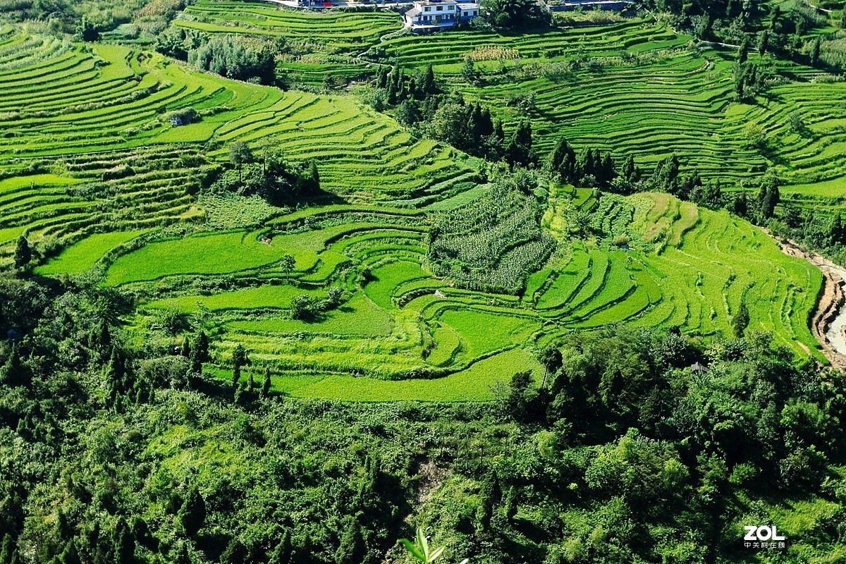 尧龙山梯田风光