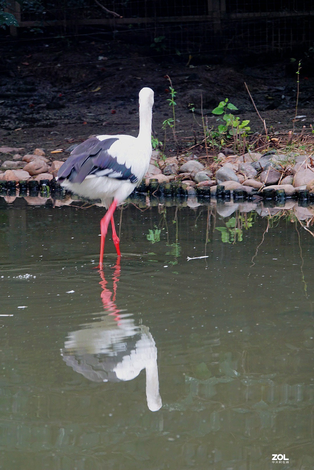 旅游--扬州动物园随拍《7》