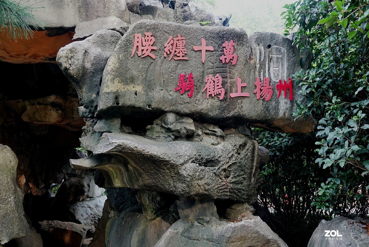 旅游--扬州动物园随拍《7》