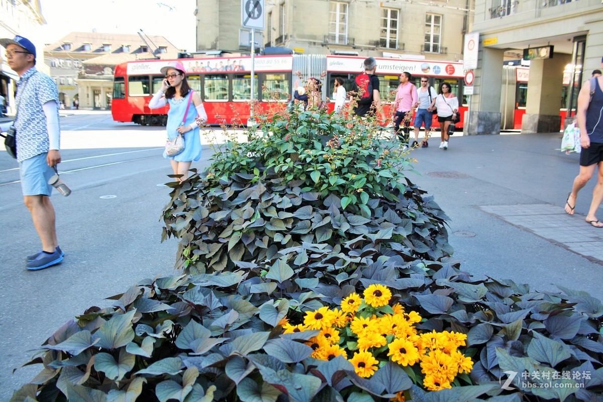 瑞士伯尔尼，资本 Schweiz. Bern