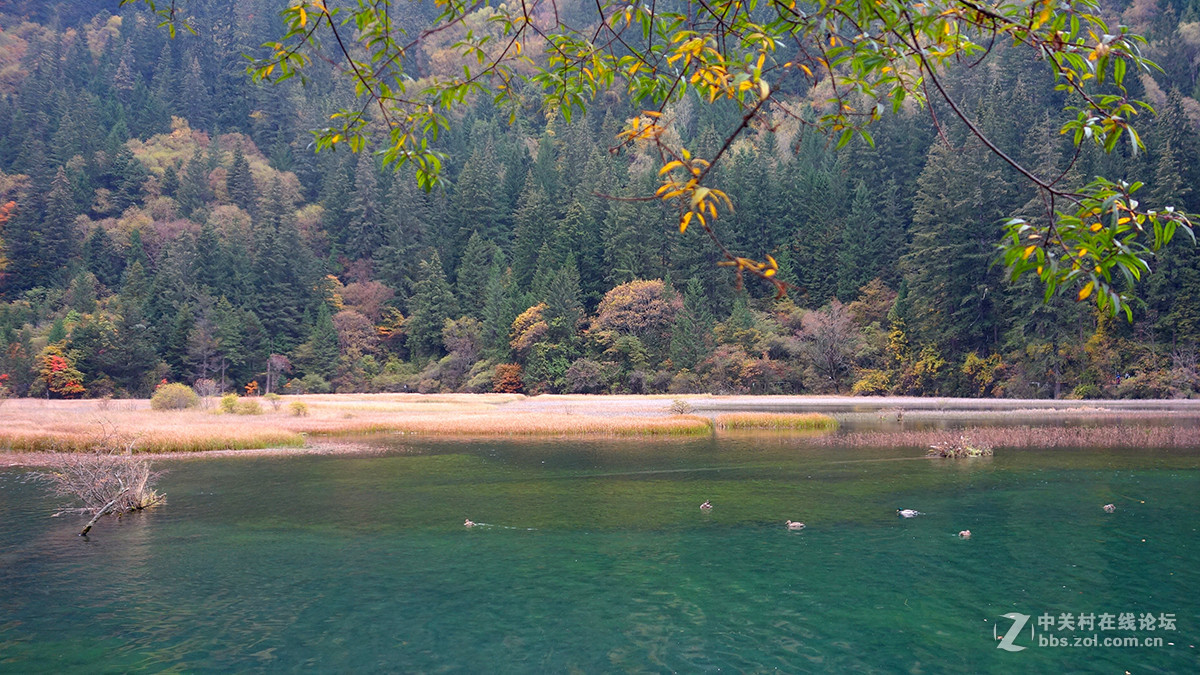 山水篇——神奇的九寨沟