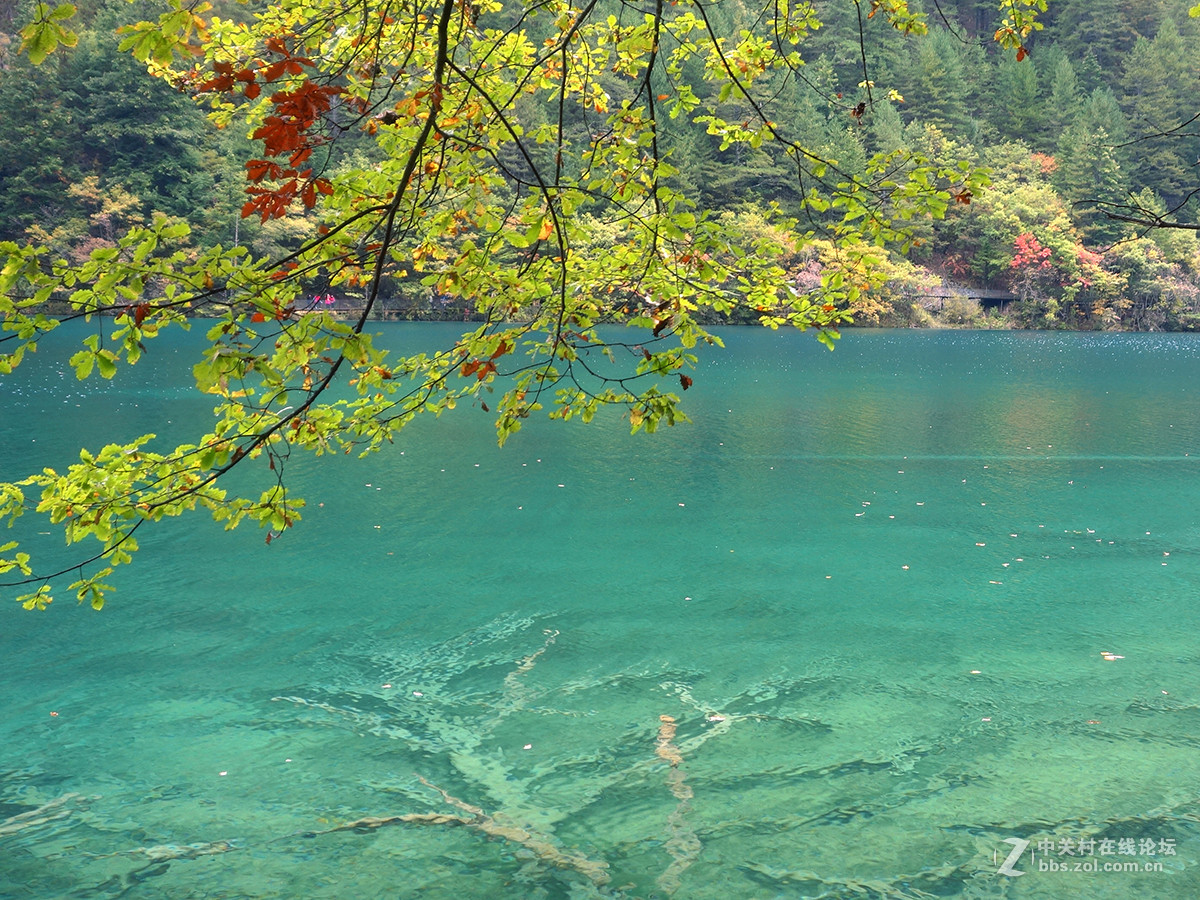 山水篇——神奇的九寨沟