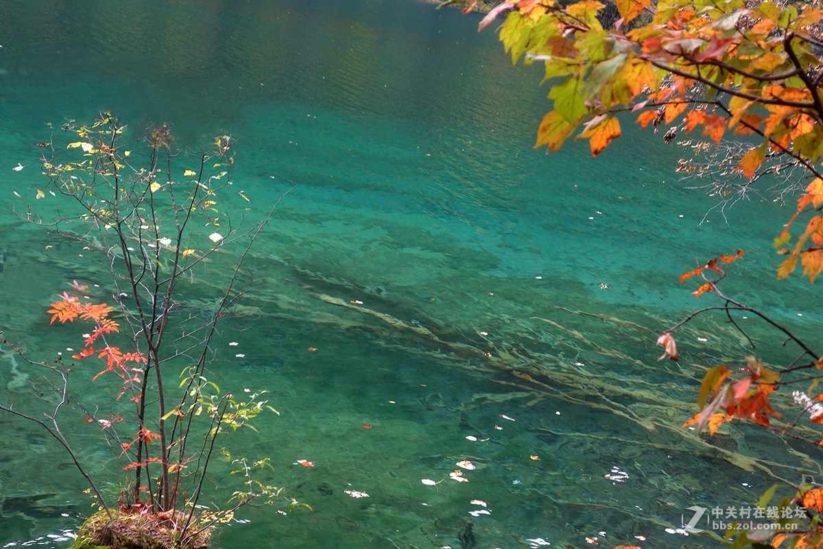 山水篇——神奇的九寨沟
