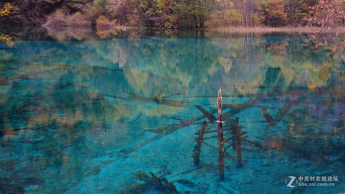 山水篇——神奇的九寨沟