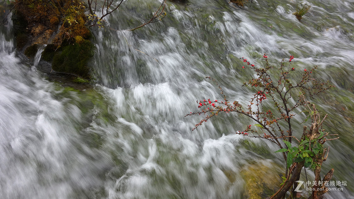 山水篇——神奇的九寨沟