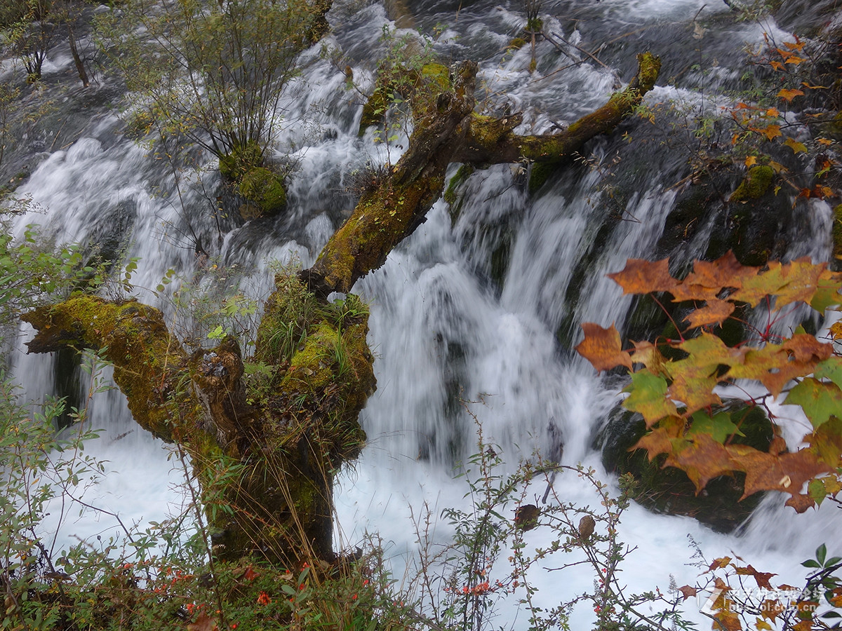 山水篇——神奇的九寨沟