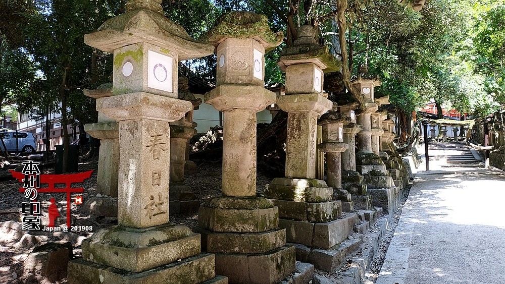 本州印象04——奈良神鹿公园【2】