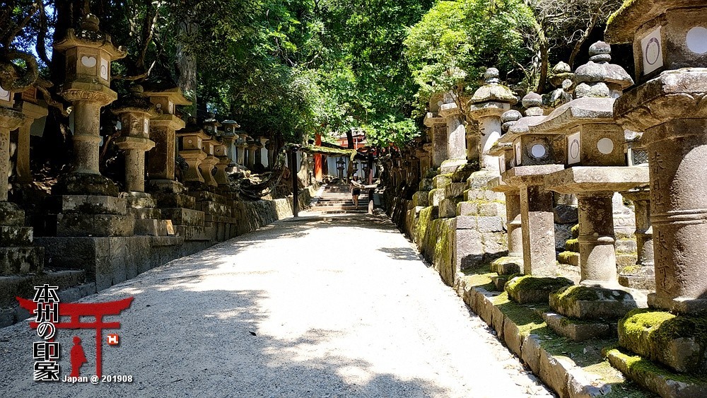 本州印象04——奈良神鹿公园【2】