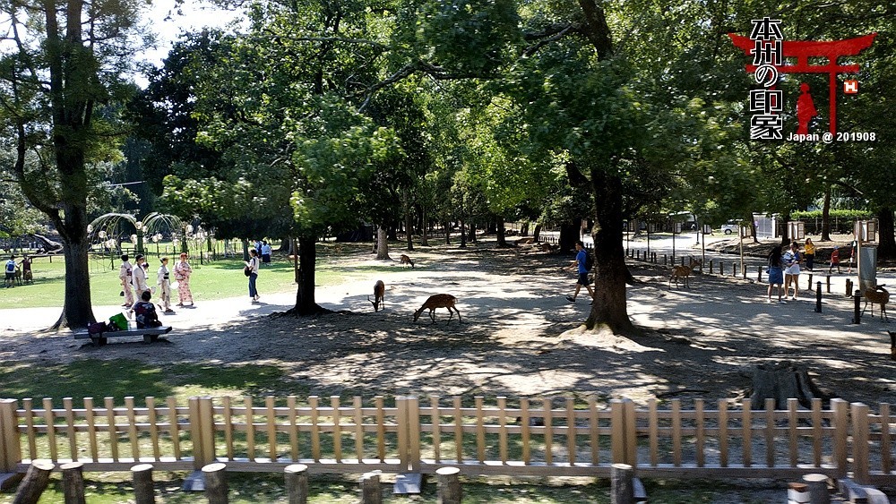 本州印象04——奈良神鹿公园【2】