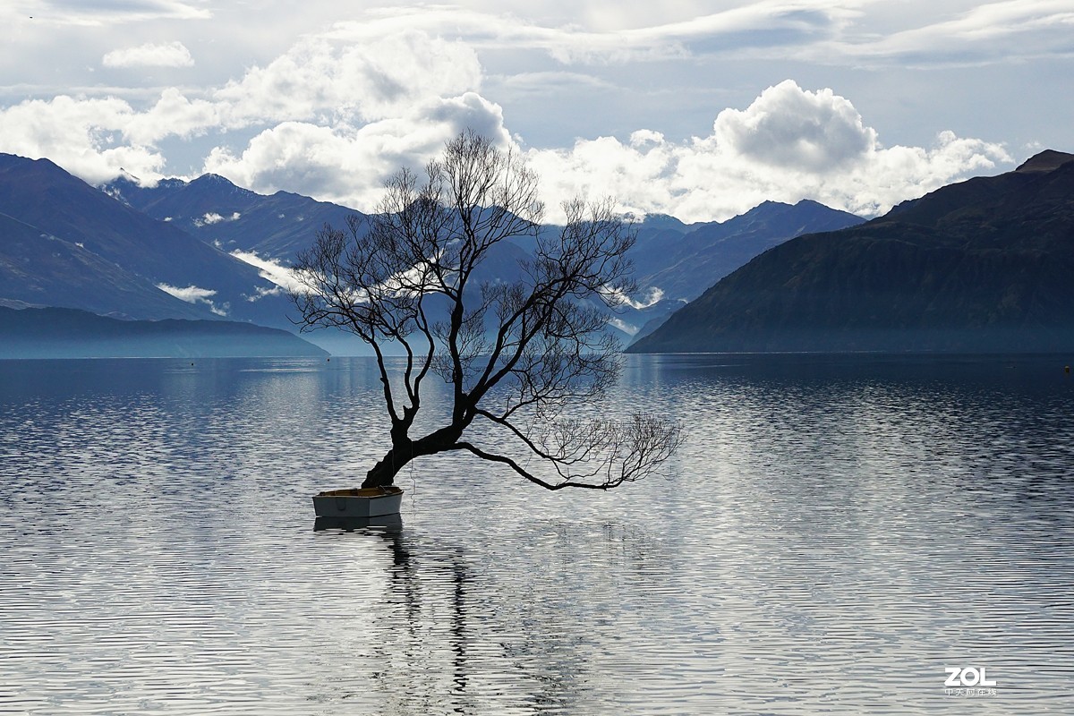 新西兰|摄影|风光摄影|牛_犇 - 原创作品 - 站酷 (ZCOOL)