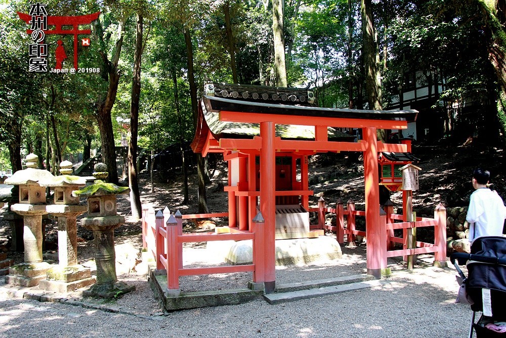 本州印象04——奈良神鹿公园【2】