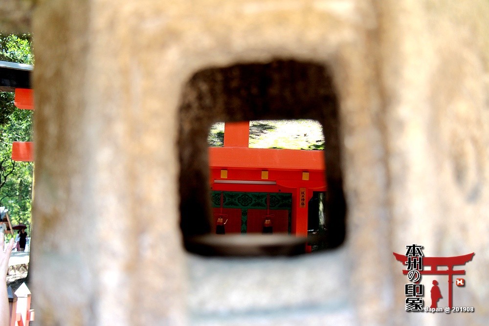 本州印象04——奈良神鹿公园【2】