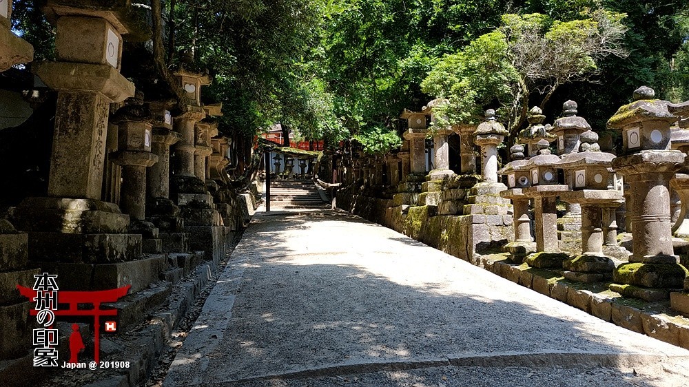 本州印象04——奈良神鹿公园【2】