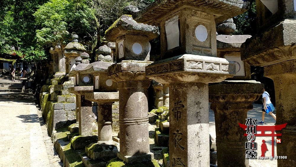 本州印象04——奈良神鹿公园【2】