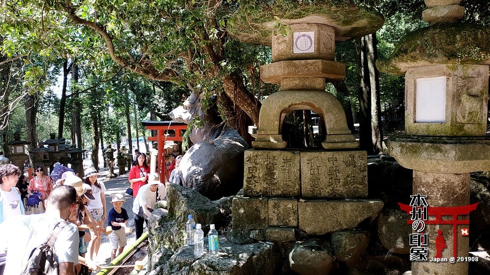 本州印象04——奈良神鹿公园【2】