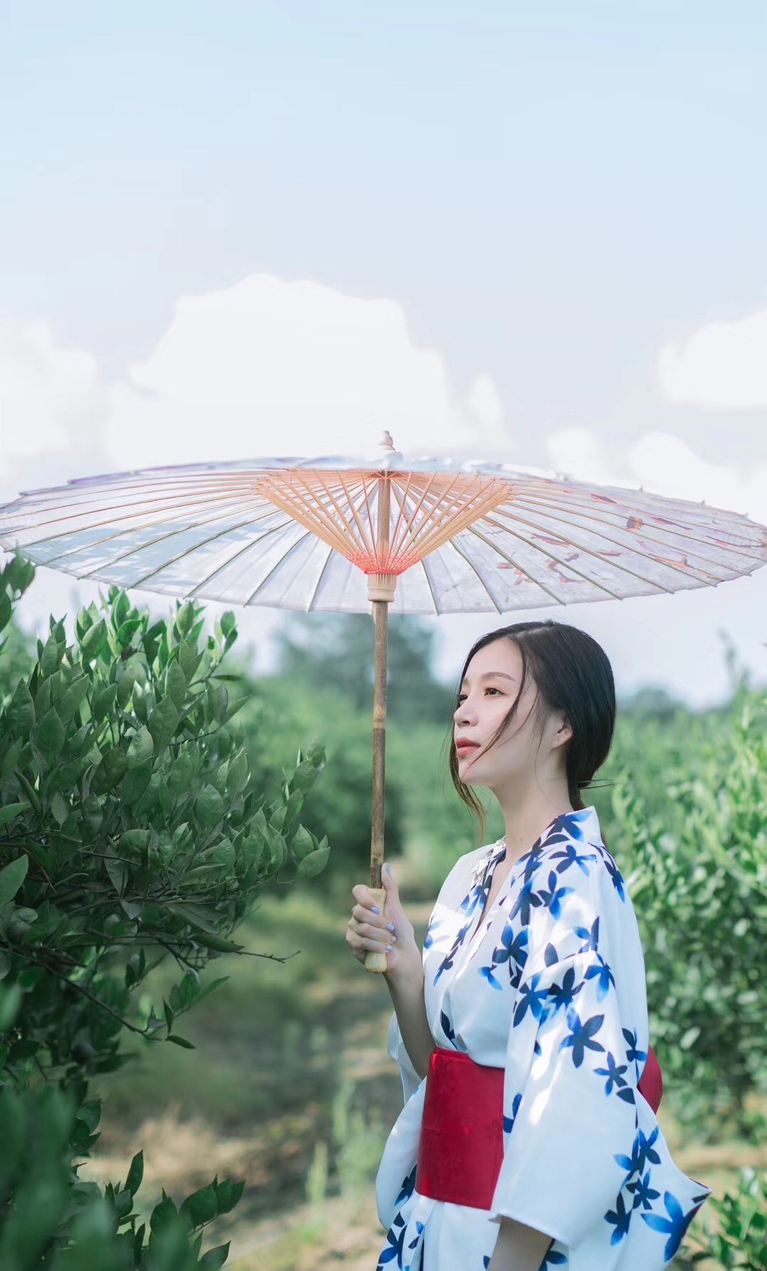 天青色等烟雨 而我在等你