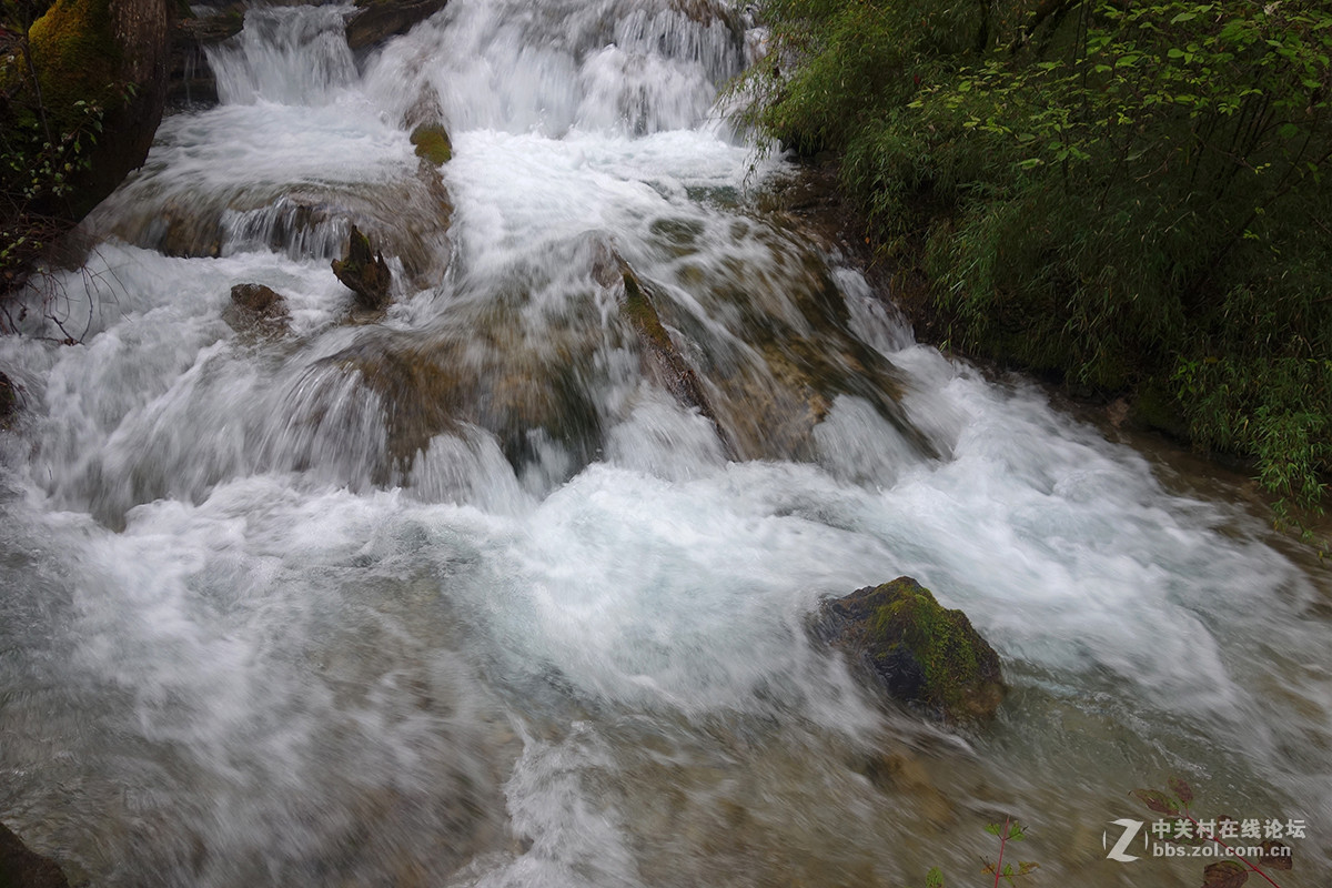 山水篇——神奇的九寨沟