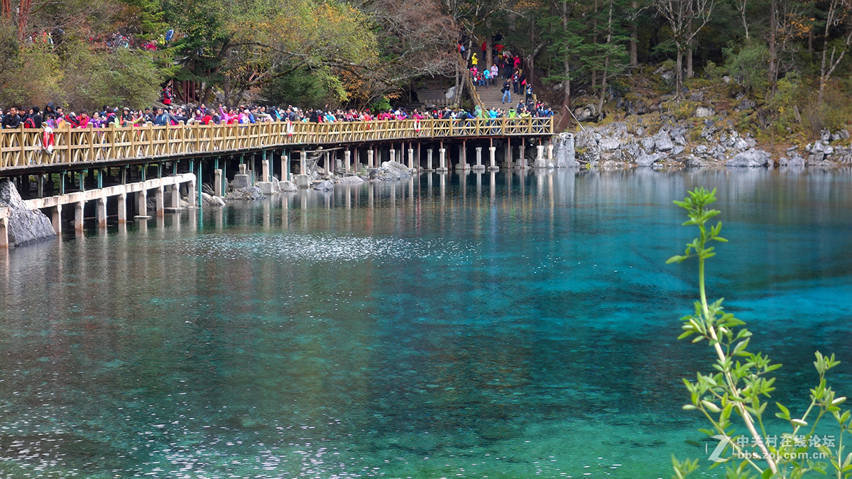 山水篇——神奇的九寨沟