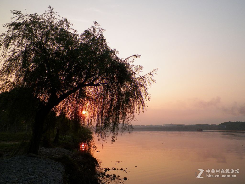 老柯的关门弟子——z5010