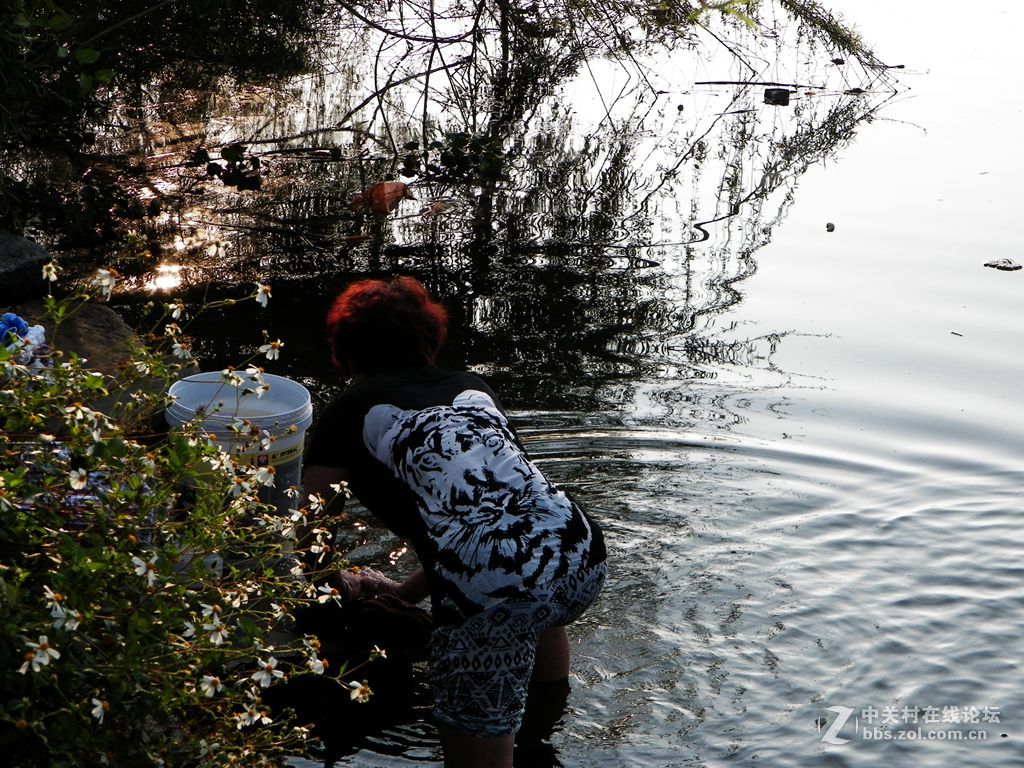 老柯的关门弟子——z5010