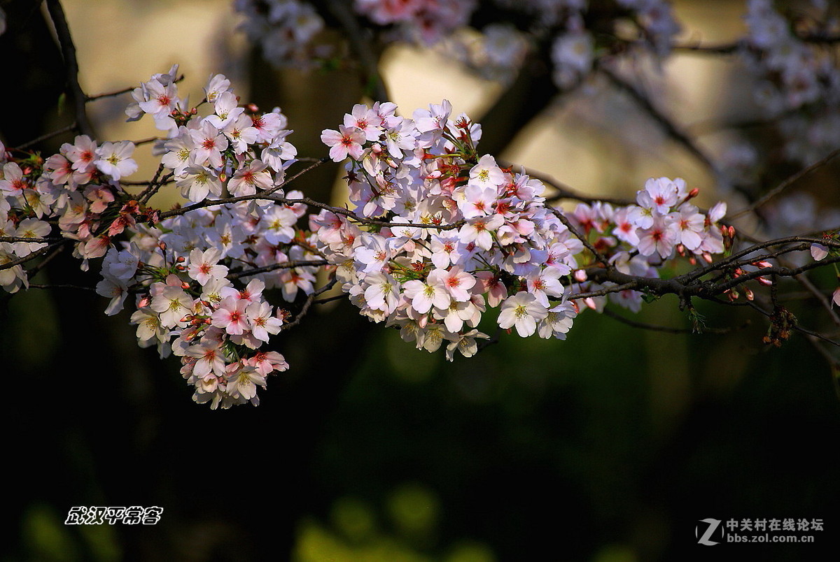 【视觉】眼睛与心灵的碰撞（小结及告假）