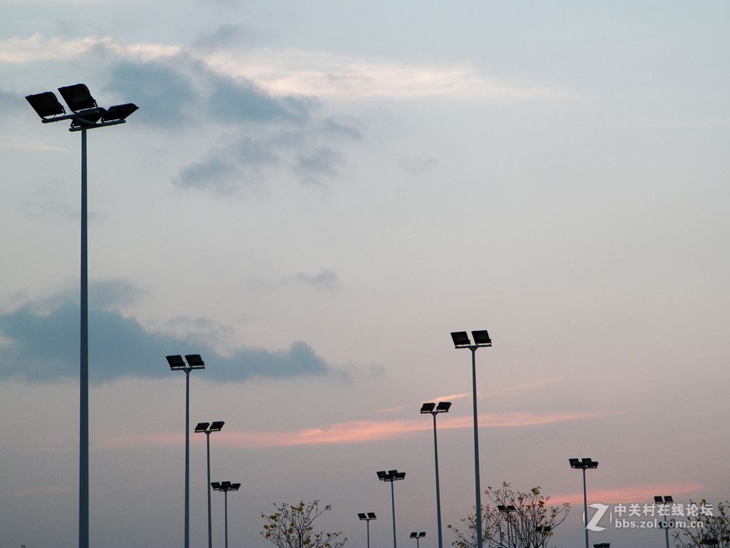 老柯的关门弟子——z5010