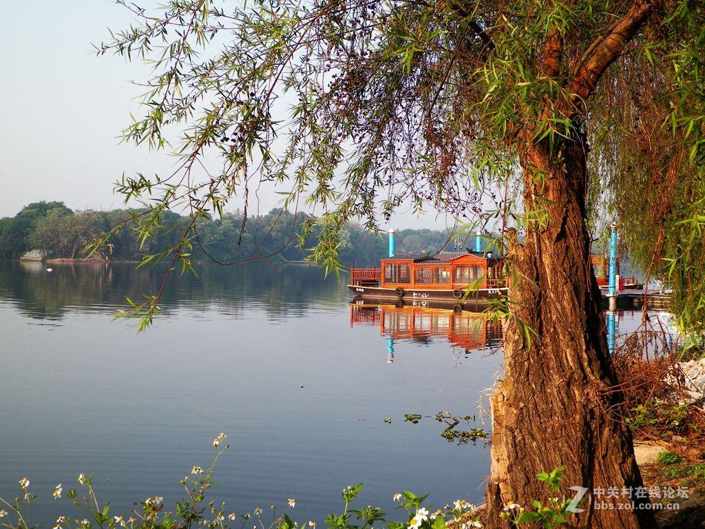 老柯的关门弟子——z5010