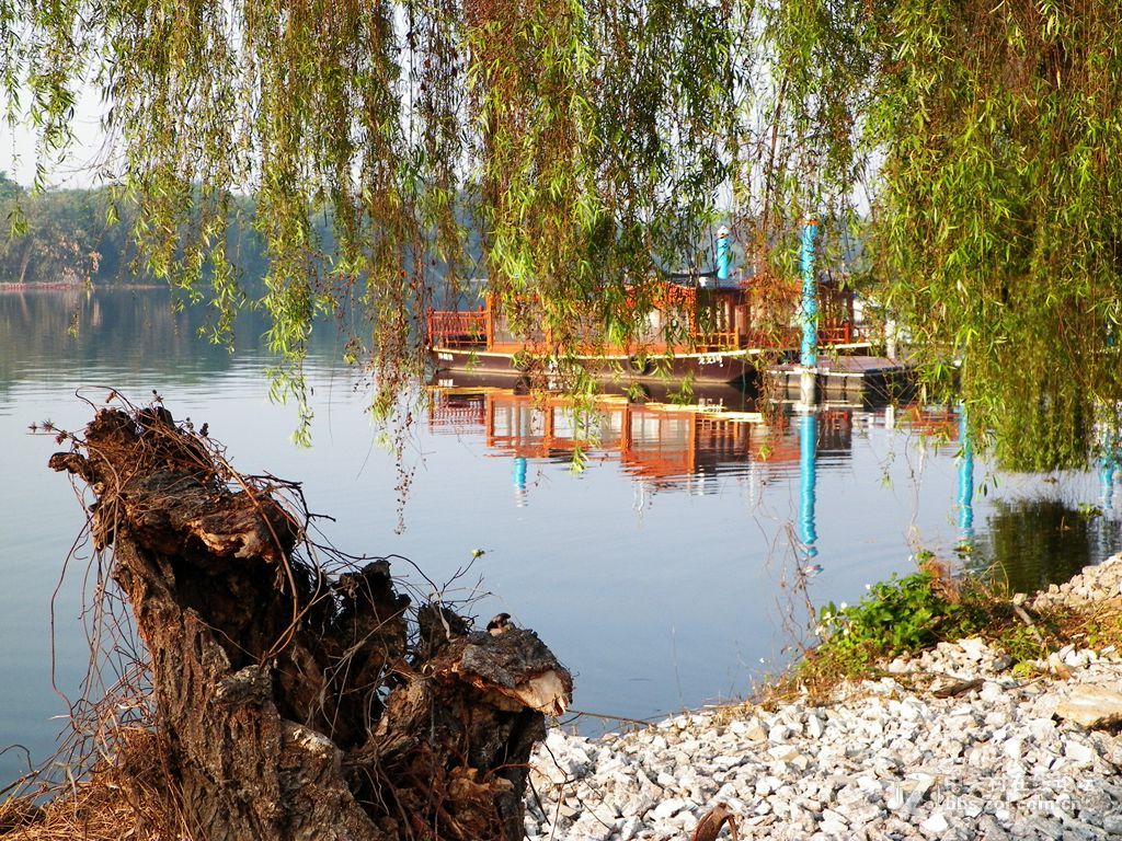 老柯的关门弟子——z5010