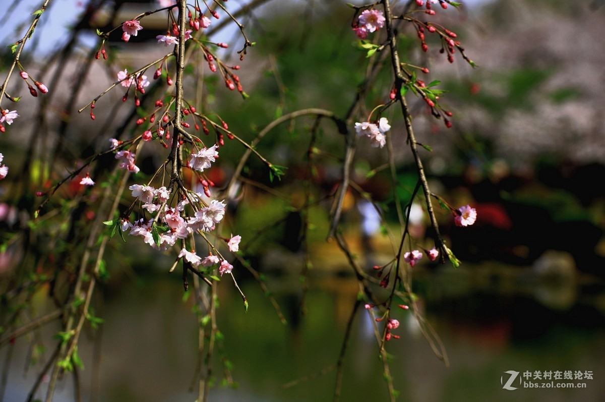 【视觉】眼睛与心灵的碰撞（小结及告假）