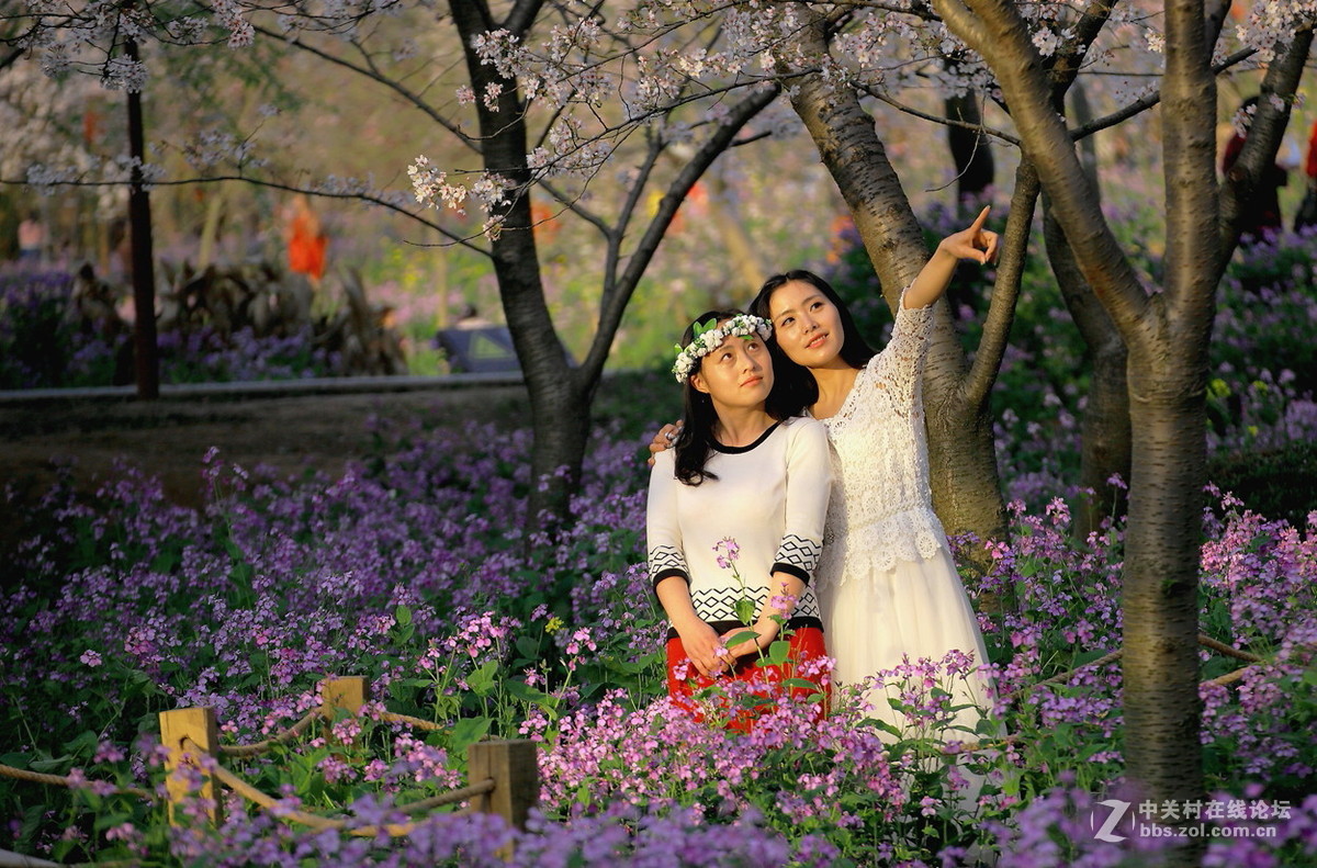 【视觉】眼睛与心灵的碰撞（小结及告假）