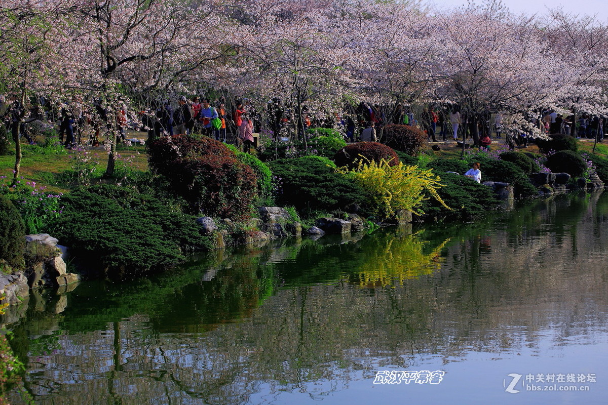 【视觉】眼睛与心灵的碰撞（小结及告假）
