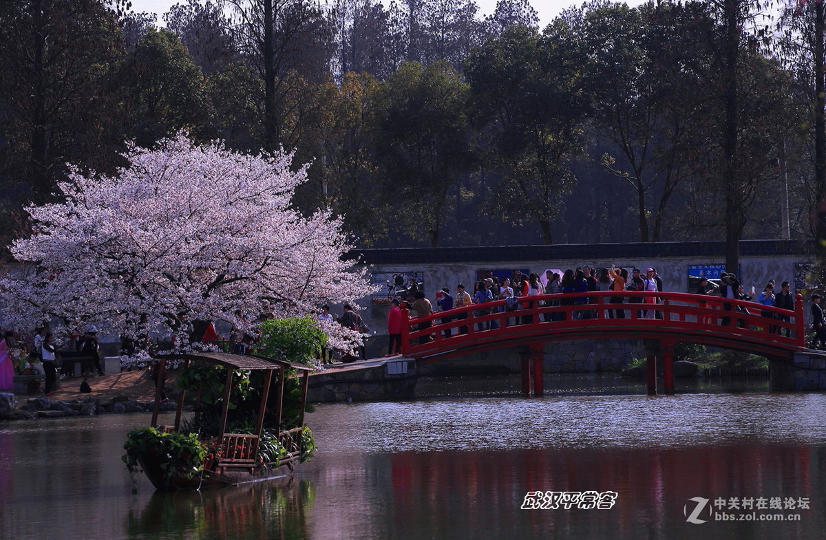 【视觉】眼睛与心灵的碰撞（小结及告假）