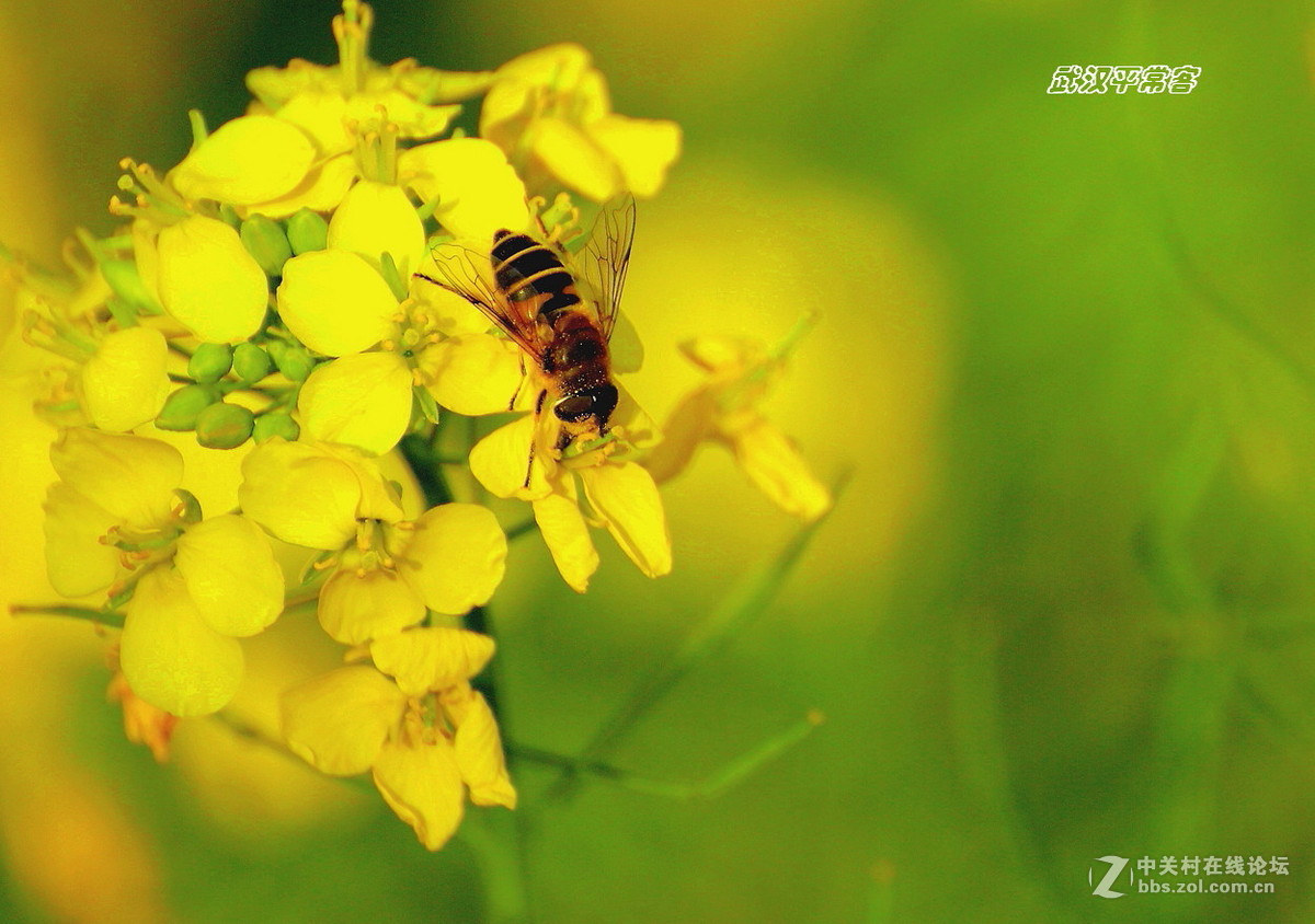 【视觉】眼睛与心灵的碰撞（小结及告假）