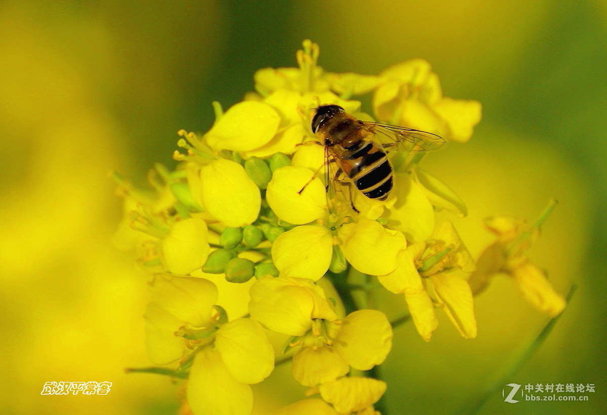 【视觉】眼睛与心灵的碰撞（小结及告假）